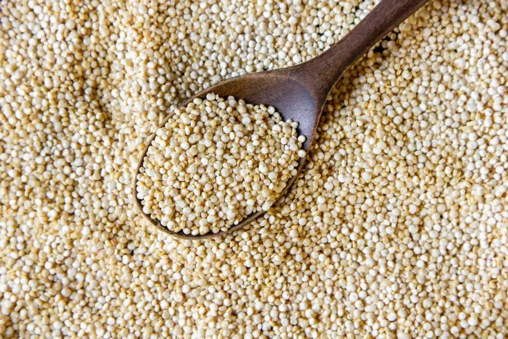 quinoa sobre uma colher de pau