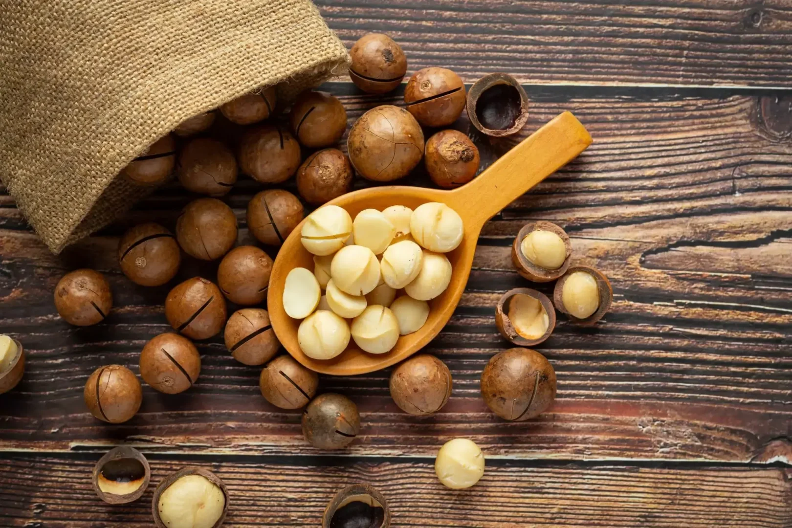 Macadamias inteiras e cortadas em uma colher de madeira sobre uma superfície rústica de madeira com um saco de juta