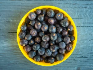 Tigela de bagas de zimbro maduras na superfície de madeira
