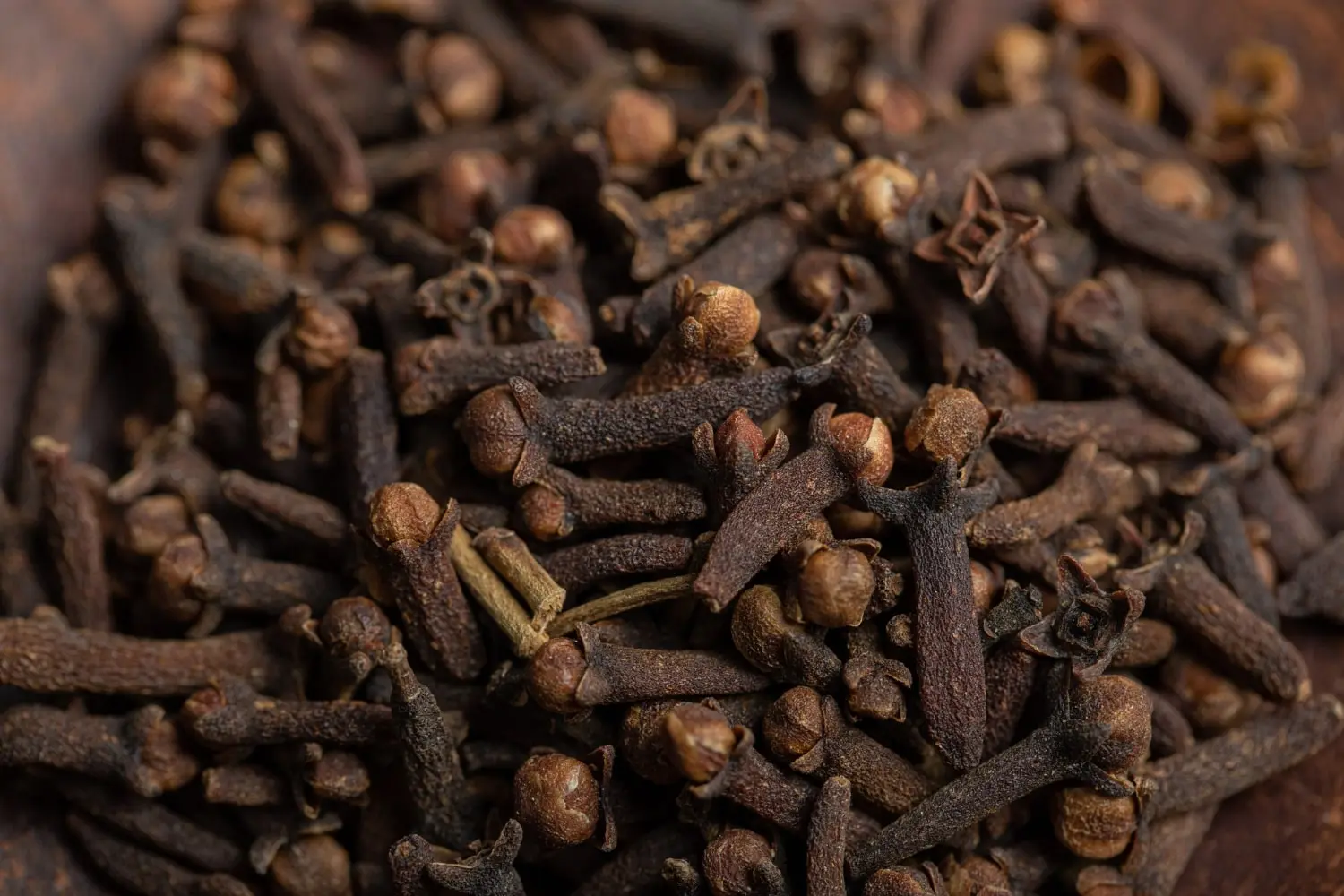 Imagem de cravos-da-índia secos, mostrando de perto suas cabeças marrons arredondadas e hastes escuras, destacando a textura e os detalhes do tempero.