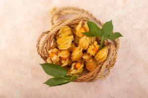 Golden Berry: Fortaleça Sua Imunidade