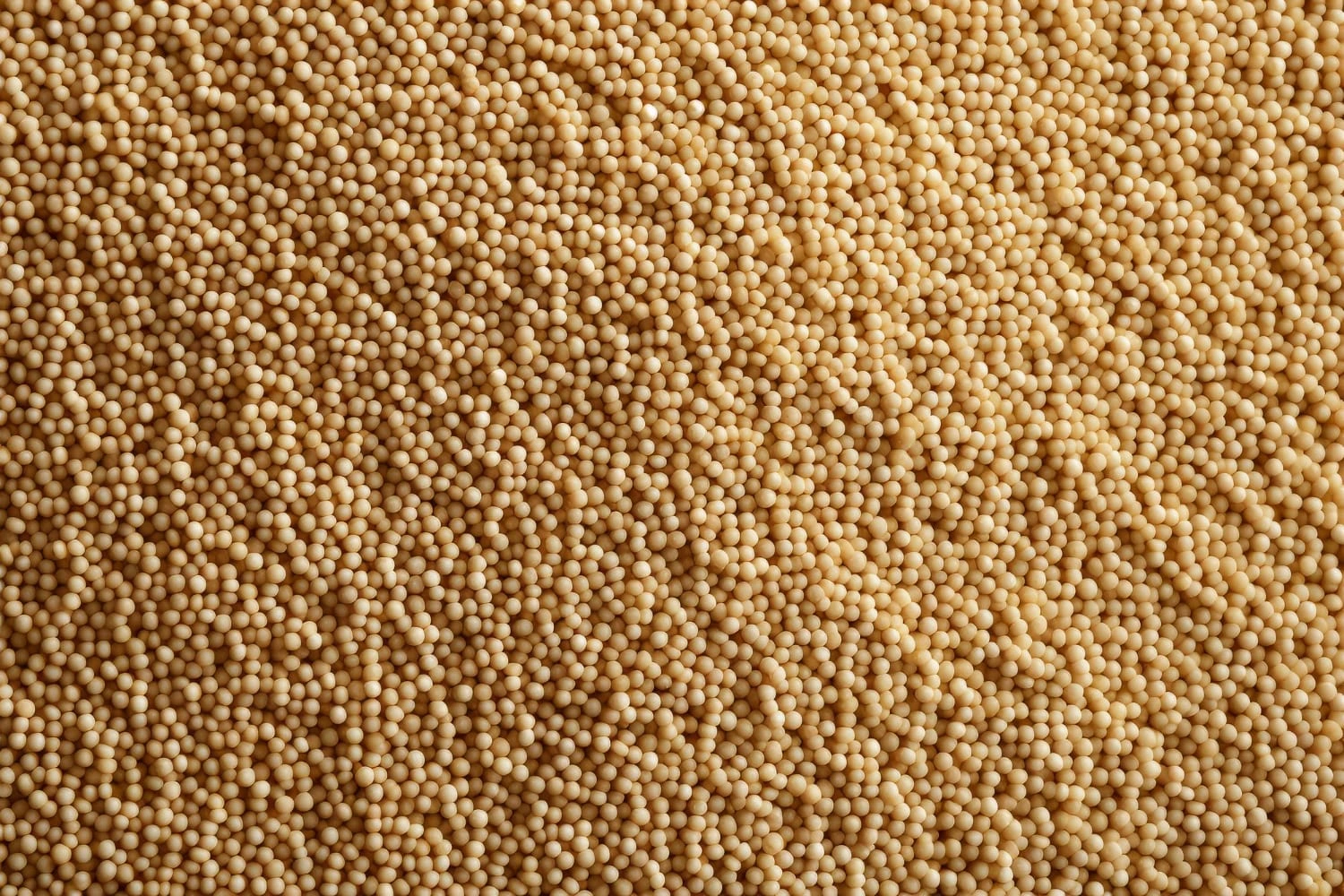 Grãos de sorgo crus, pequenos e esféricos, exibidos em grande quantidade. Os grãos têm uma coloração bege clara, com uma superfície lisa e uniforme.